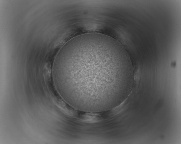 X0000113330179200909211228