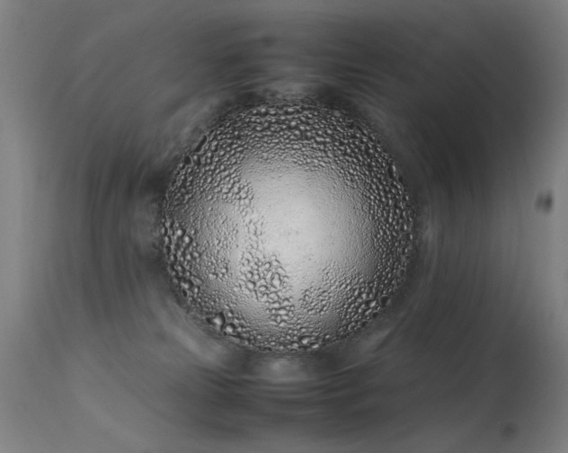 X0000113330181200909211228