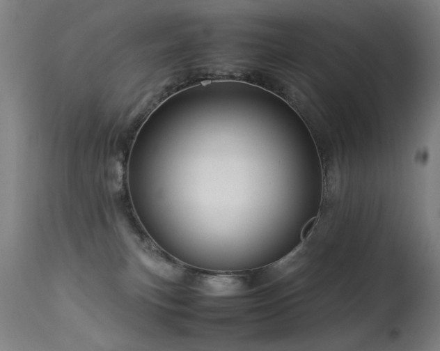 X0000113330183200909211228