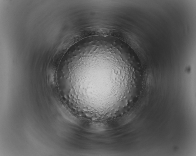 X0000113330185200909211228