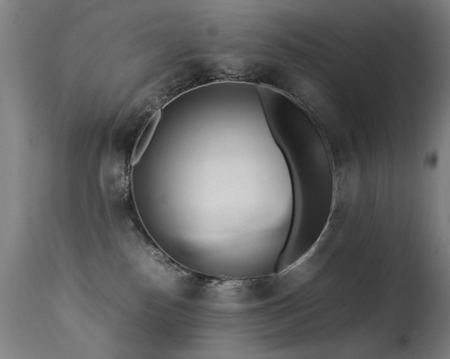 X0000113330186200909211228