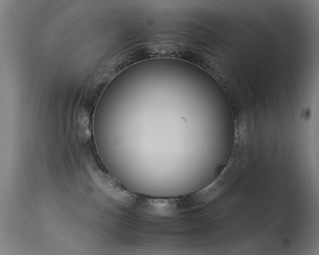X0000113330187200909211228