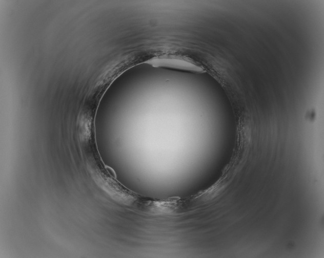 X0000113330188200909211228