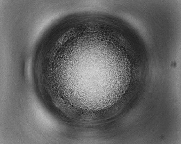 X0000113330189200909211228