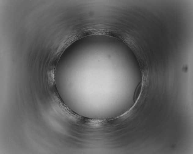 X0000113330190200909211228