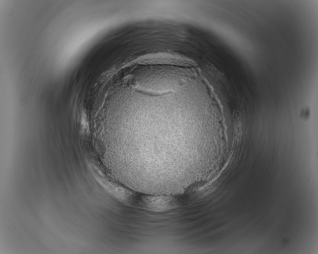 X0000113330191200909211228
