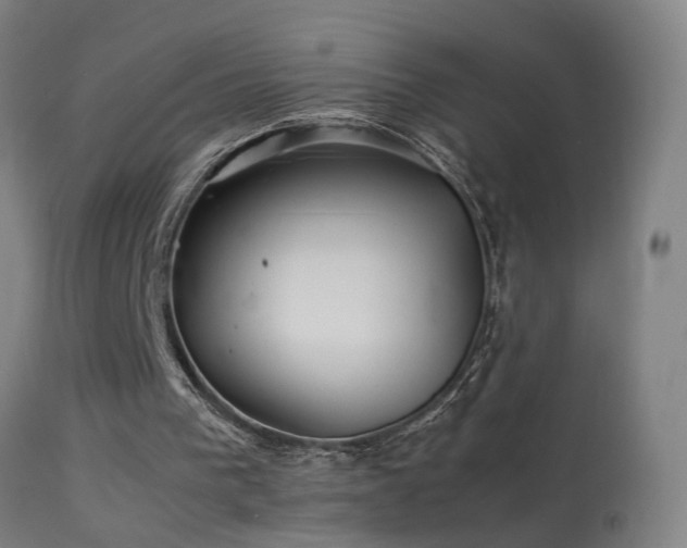 X0000113330193200909211228
