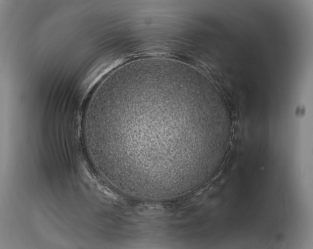 X0000113330194200909211228