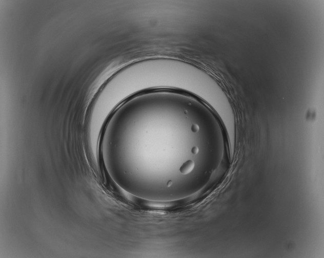X0000113330195200909211228