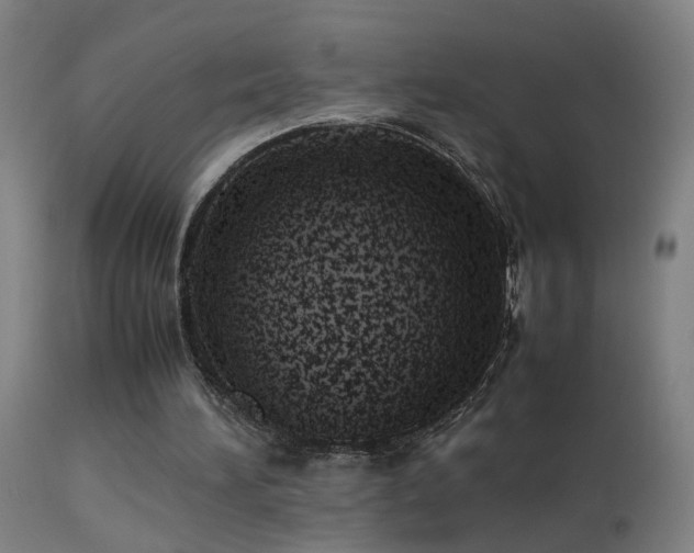 X0000113330196200909211228