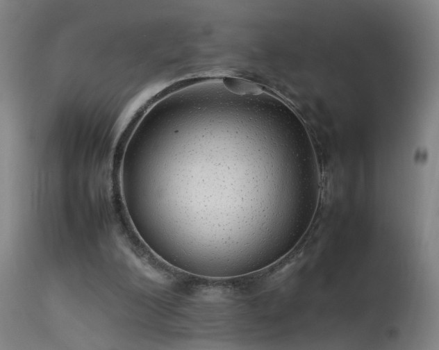 X0000113330200200909211228
