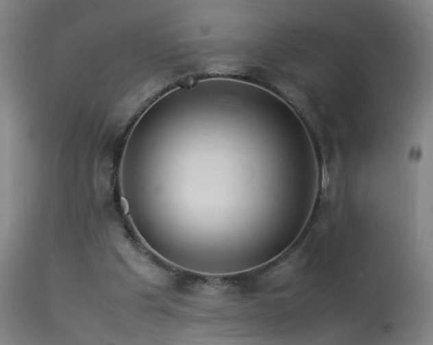 X0000113330201200909211228