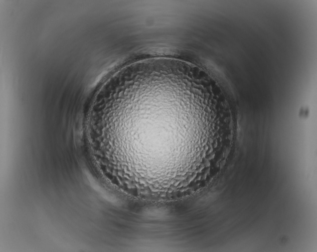 X0000113330202200909211228