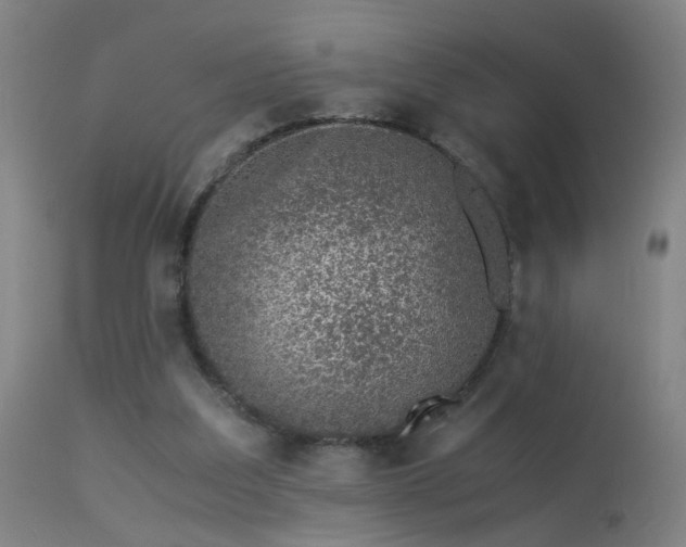 X0000113330203200909211228