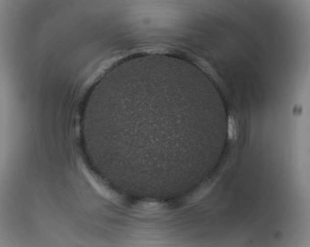 X0000113330205200909211228
