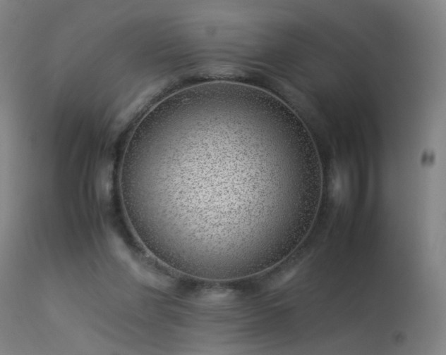 X0000113330206200909211228