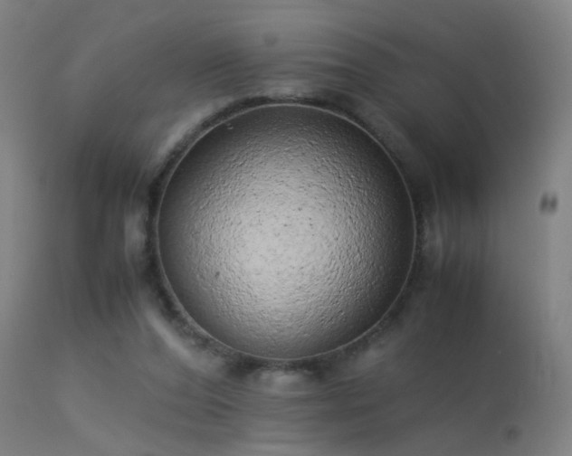 X0000113330208200909211227