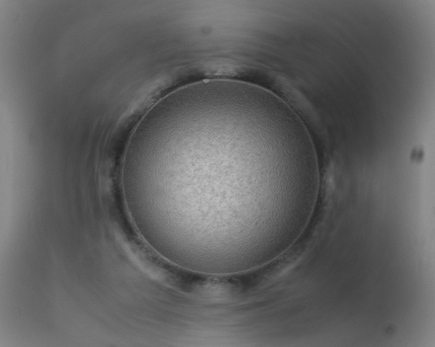 X0000113330209200909211227