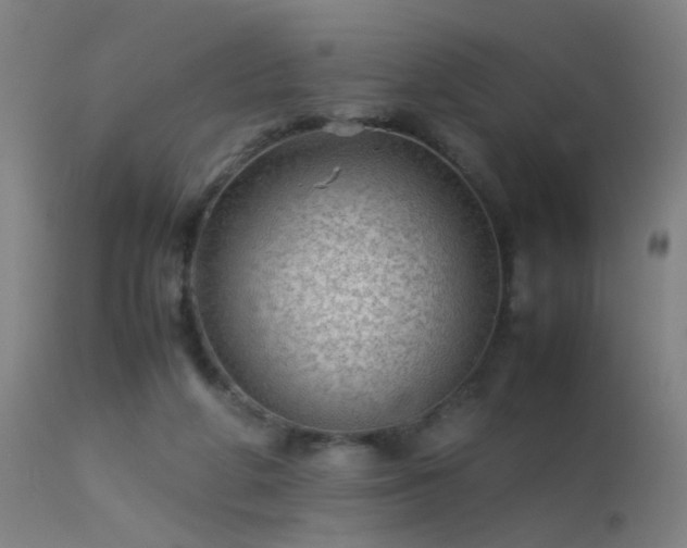 X0000113330210200909211227
