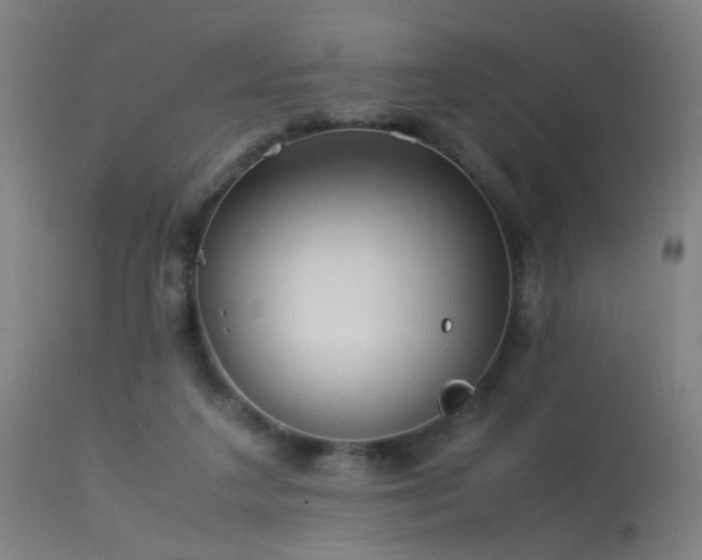 X0000113330211200909211227