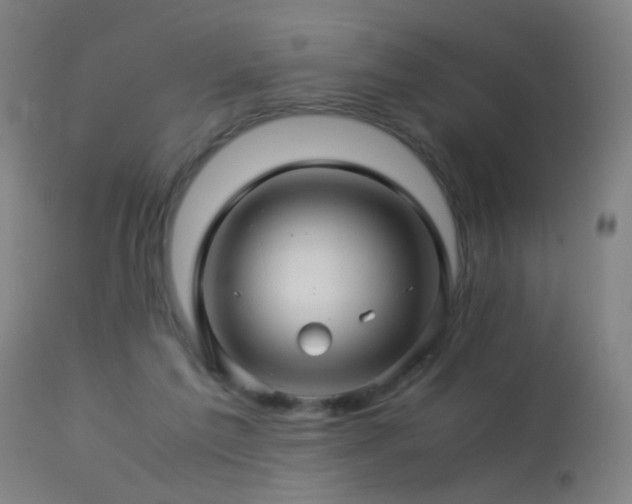 X0000113330213200909211227