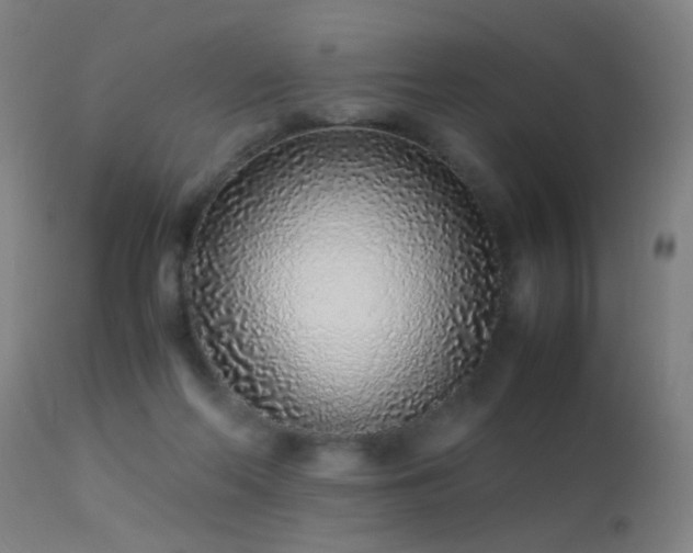 X0000113330214200909211227