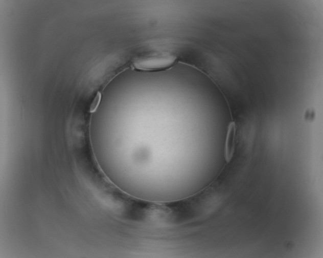 X0000113330215200909211227