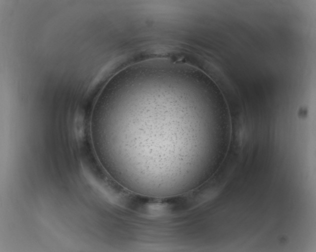 X0000113330216200909211227