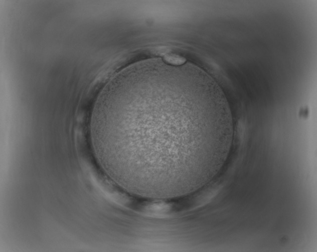 X0000113330217200909211227