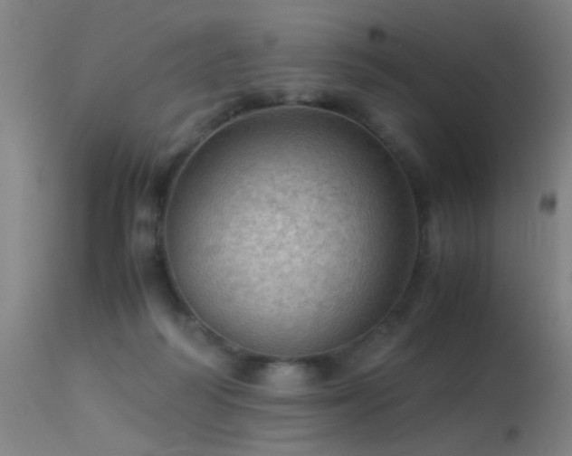 X0000113330218200909211227