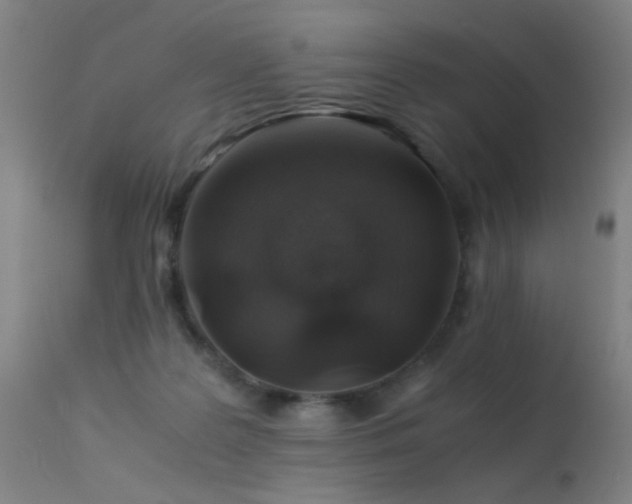 X0000113330219200909211227