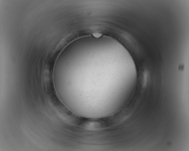 X0000113330220200909211227