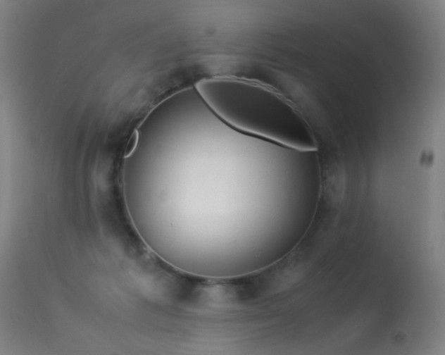 X0000113330221200909211227