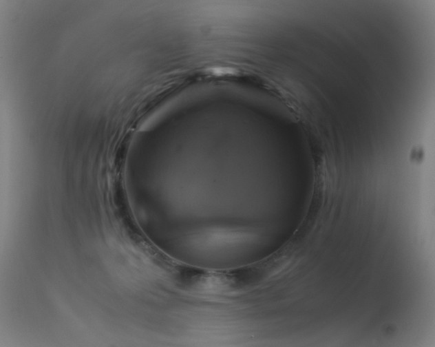 X0000113330223200909211227
