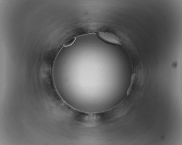 X0000113330225200909211227