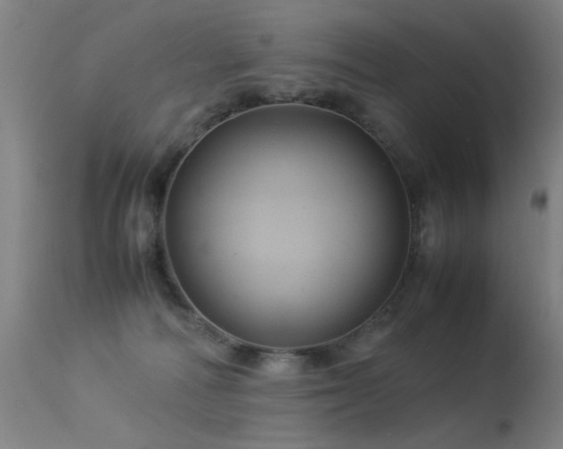 X0000113330226200909211227
