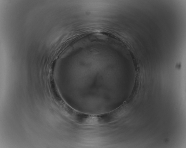 X0000113330227200909211227