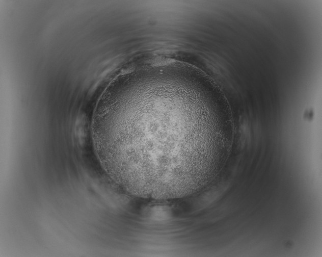 X0000113330228200909211227