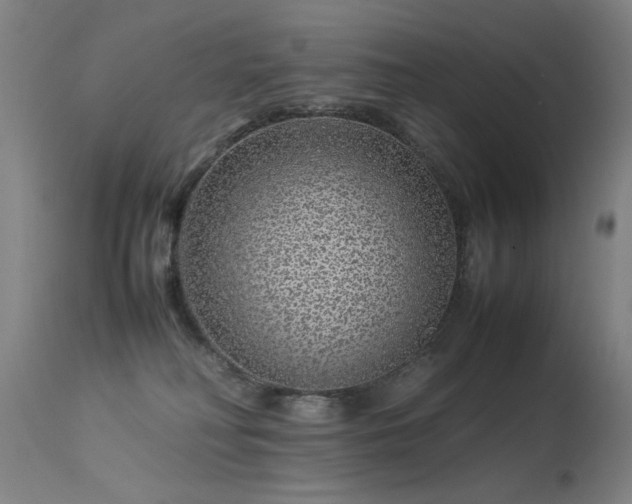 X0000113330230200909211227