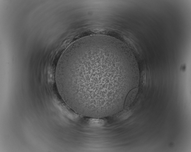 X0000113330234200909211227
