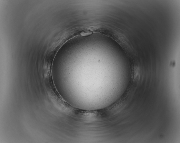 X0000113330236200909211227