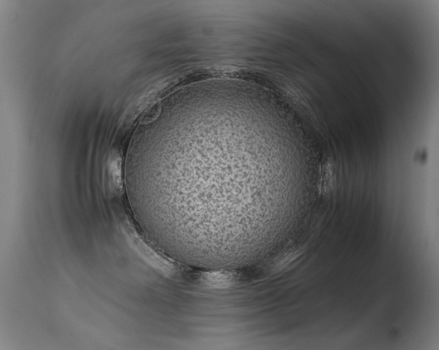 X0000113330238200909211227