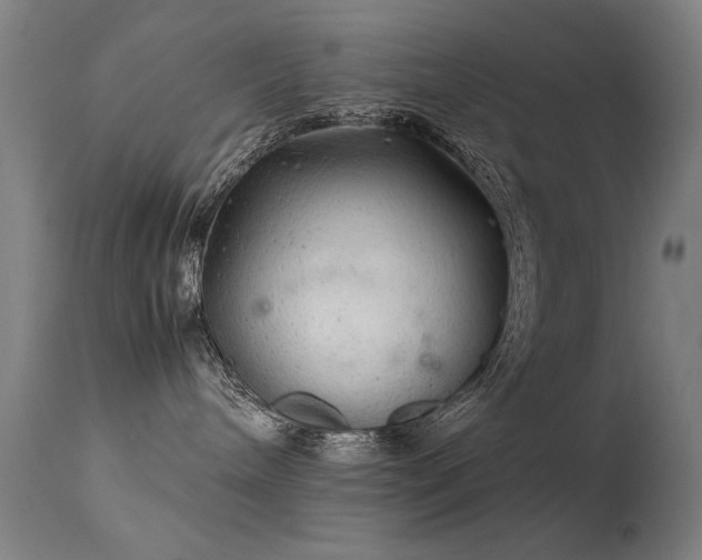X0000113330240200909211227
