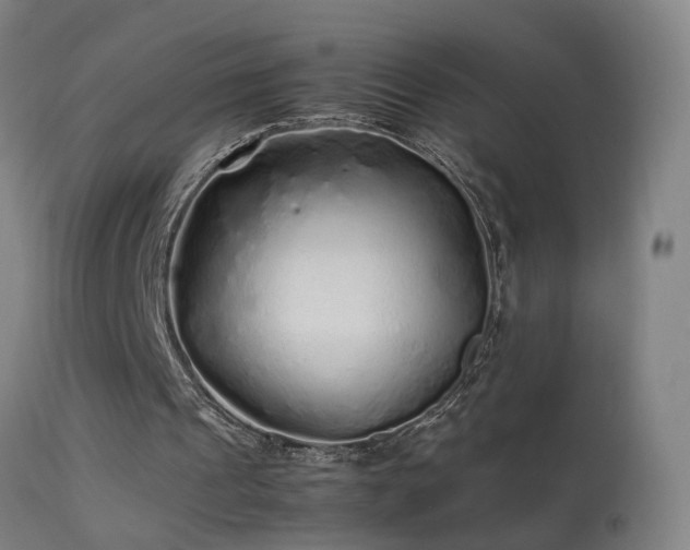 X0000113330241200909211226