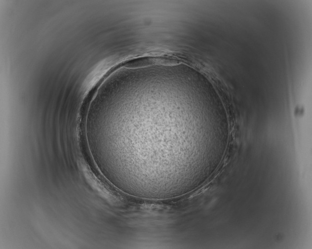 X0000113330242200909211226