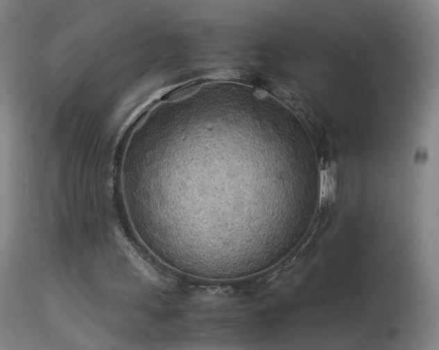 X0000113330243200909211226