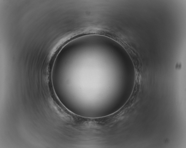 X0000113330244200909211226