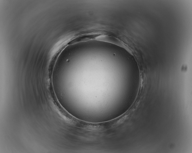 X0000113330245200909211226