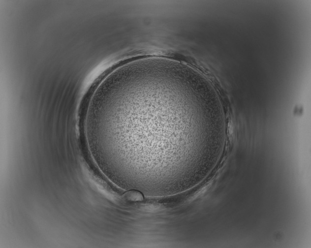 X0000113330246200909211226