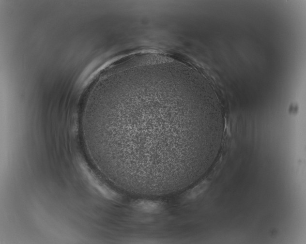 X0000113330247200909211226